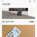 필라로이드 이미지
