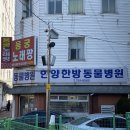 루나동물병원 이미지