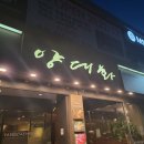 양대화 | 한우 대창 구이 맛집, 죽전 양대화 내돈내산 솔직 후기!