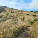 평전(여) 이미지