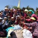 남조로수망교차로 2 이미지