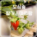 물을 자동으로 공급해주는 스마트팜 (코딩과 작물 재배 키트 체험) (초4~초6) | 아이와 가볼 만한 곳 도심숲 딸기스마트팜에서 체험하고 왔어요