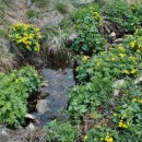 칡소폭포 이미지