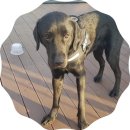 봉구세차장 이미지