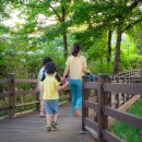 경암근린공원 유아숲체험원 이미지