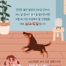 웰 동물병원 이미지