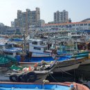 (주)경남일보 - 9562 | (주)경남일보