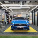 동일자동차공업㈜ | [머스탱 쿠페] 후기가 증명하는 컬러 안전벨트 시공 맛집