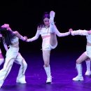 펄스코리아 이미지