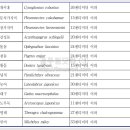 어부수산 이미지