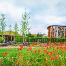 DK빌리지 내 이미지