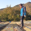 우경농원 이미지