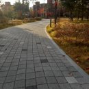 도두머리공원 이미지