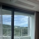 안흥목장 | 강원도 커플 여행 Day 2 | 선비마을, 대관령양떼목장, 호텔 웨이블런트 양양