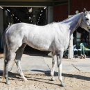 소베라니아 이미지