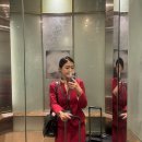 비행은 🐶힘들지만 도시는 너무 좋아🤎 호주 멜버른 24시간 레이오버