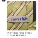 스페인 숙소 후기