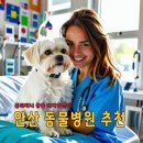 톰과 제니 동물메디컬센터 | 안산 동물병원 추천 톰과 제니 동물 메디컬센터