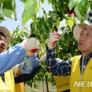 한전원자력연료노동조합 이미지