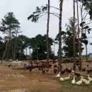 완전농장 이미지