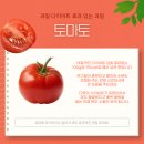 과일콕