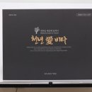비타세상
