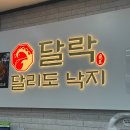 달락달리도낙지 이미지