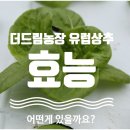 향정농장 네이버블로그