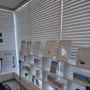 스타일렙 | 사당 근처 직장인 다이어트 추천! 셀포렙에서 인바디 수치변 정체기 탈출하고 온 후기