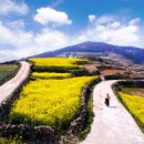 청산도횟집 이미지