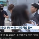 시청역 급발진 대참사 사건 최고 형량 공개....ㄷㄷ gif 이미지