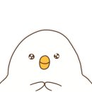 비니래쉬앤뷰티 네이버블로그