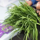 양동쌍학시장 이미지