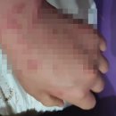 모텔피그 헤럴드경제