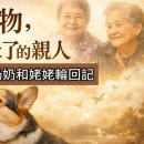 [외할머니와 친할머니가 개로 환생했다] 그들은 애완동물이 아니라, 업보가 남아있는 친척이었다! 왜 하필 개로 환생했는지는 흥미로운 의문 이미지