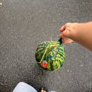 안대머리농가민박 | 보령여행 | 촌캉스 안대머리농가민박