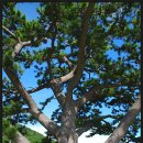 청옥민박 이미지