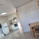 푸조와곰솔 이미지