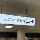 에이스카써비스 | 제주도 렌트카 [에이스 렌트카] 제주여행 렌트카 추천 제주 가족여행 렌트카 추천 제주 가성비 렌트카