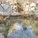 작은연못낚시터 이미지