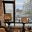 파프리카짐 (갈마/내동점) | 파프리카짐 갈마내동점 온천동헬스장 운동으로 관리하고 싶은 분들