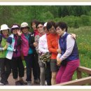 백두산화원 이미지