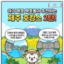 스카이힐비즈니스관광호텔 | 제주도 호캉스 추천 호텔 2탄