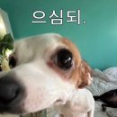 월 이미지