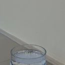 동그라개 | 의왕 애견미용, 애견호텔 동그라개