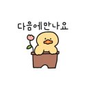 플라젠트 이미지
