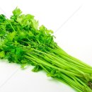 미나리슈퍼 이미지