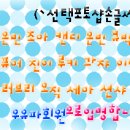 러브리독 이미지