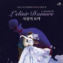 사랑의묘약 이미지