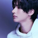 라이즈상사